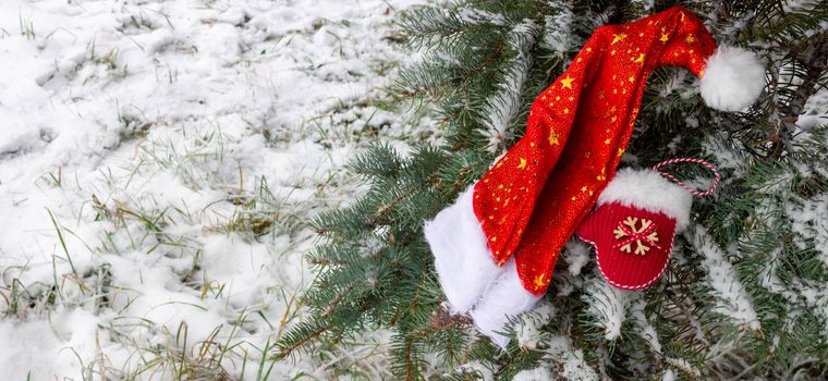 Santa Claus hat and a small red mitten lie on a snow-covered fir tree. Space for your text.