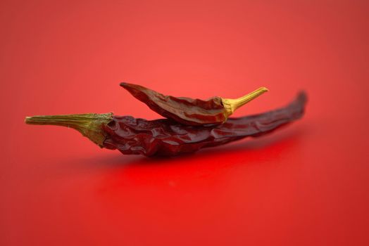Dried chili peppers on red background. Macro image