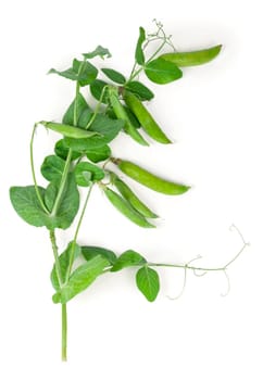 Isolated sweet green peas with green leaves. Top view. White background.