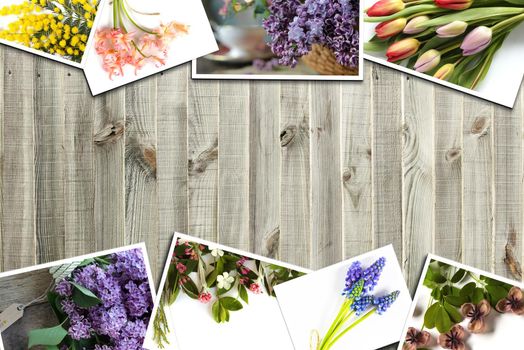 Photo collage of flowers. Spring Flowers collage on wooden background. Birthday, Mother's day, Easter concept. Place for text, mock up