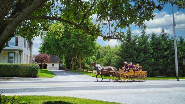 Gordonville, Pennsylvania, June 2020 -A Large Amish Family Riding in An Open Horse and Buggy Down a Country Road on a Summer Day
