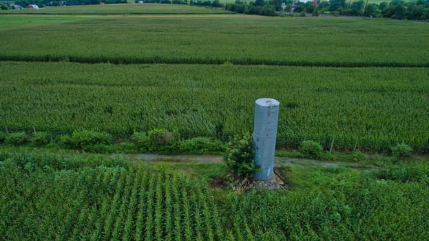 Aerial View for Rows of Corn Growing and Farms with a Water Tower under a Beautiful Summer Sky
