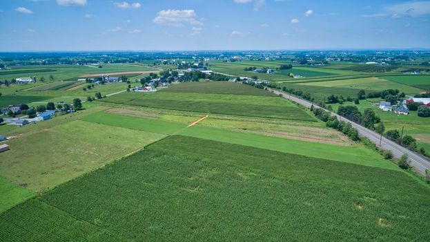 Aerial View for Rows of Corn Growing and Farms under a Beautiful Summer Sky
