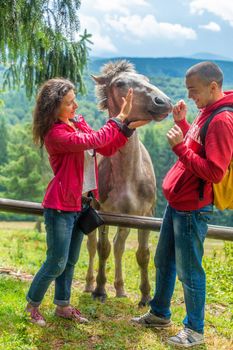 Couple petting the horse over wooden fence in highlands farmland.