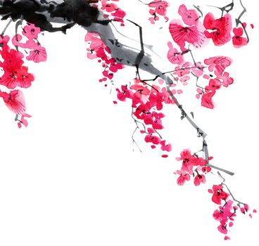 Watercolor and ink illustration of blossom sakura tree with pink flowers and buds. Oriental traditional painting in style sumi-e, u-sin and gohua.