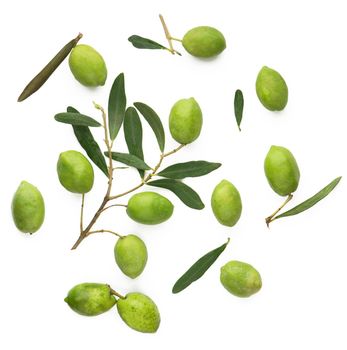Olive fruit and olive leaves on a white background.