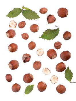 Closeup of hazelnuts, isolated on the white background, clipping path included.