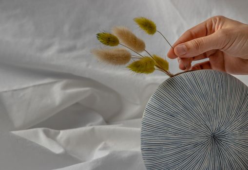 Close-up of Female hand with a gentle holding a bouquet of Dried flowers on Handmade Ceramic Vase and Shells on White background. Home decor, Space for text.