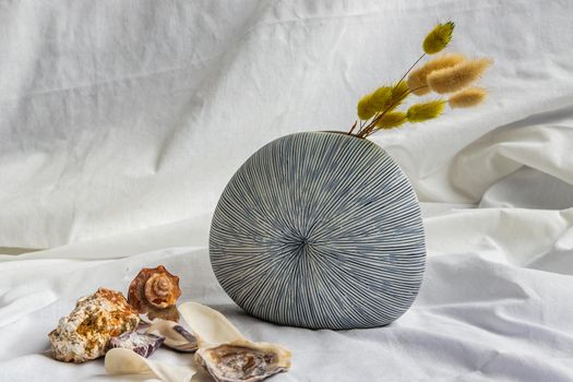 Dried flowers in Handmade Ceramic Vase and Shells on White background. Home decor, Space for text.