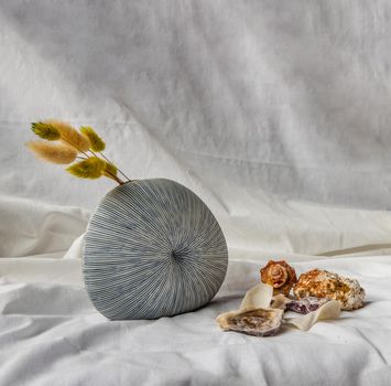 Dried flowers in Handmade Ceramic Vase and Shells on White background. Home decor, Space for text.