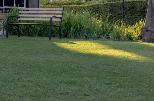 Wooden benches on grass floor in a shady area of the park. Seating and unwind area. Selective focus.