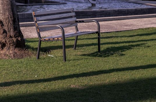 Wooden benches on grass floor in a shady area of the park. Seating and unwind area. No focus, specifically.