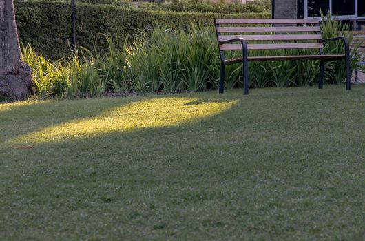 Wooden benches on grass floor in a shady area of the park. Seating and unwind area. Selective focus.