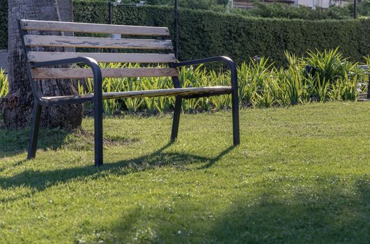 Wooden benches on grass floor in a shady area of the park. Seating and unwind area. Selective focus.