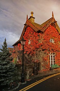 Autumn house red leaves foliage. Vibrant red autumn leaves over Vintage UK house