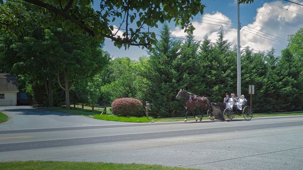 Gordonville, Pennsylvania, June 2020 - An Amish Open Wagon Carrying Two Amish Couple from Church on a Summer Day