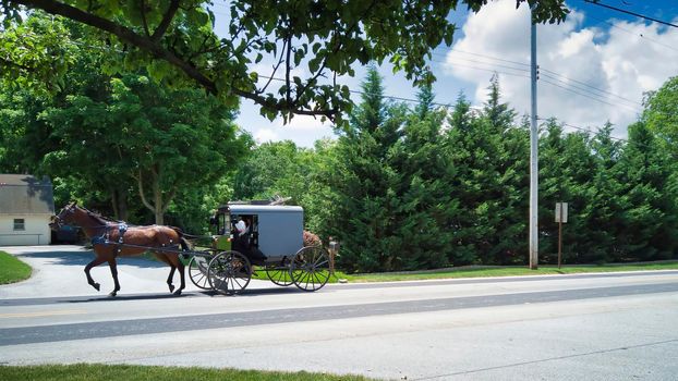 An Amish Horse and Buggy Full with Amish People Traveling along a Countryside Road on a Summer Day