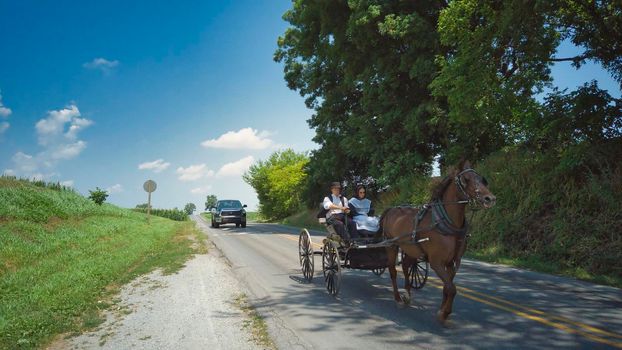 Ronks, Pennsylvania, July 2020 - An Amish Horse and Open Buggy With an Amish Couple in it on a Summer Day