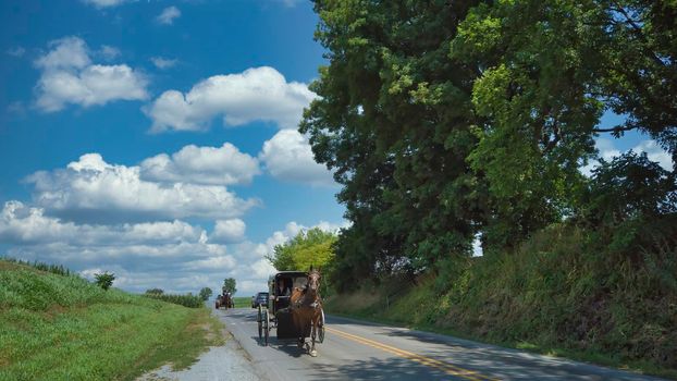 An Amish Horse and Buggy Being Followed by a Horse and Open Buggy on a Summer Day