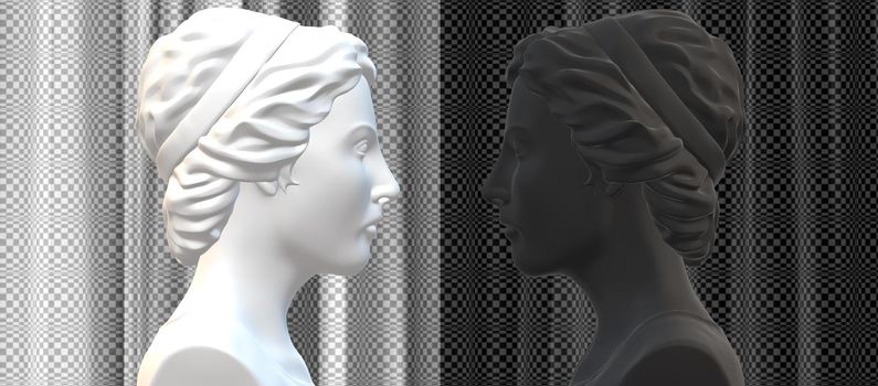 Bipolar mental health, brain disorder in black and white colours 3D illustration