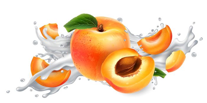 Fresh apricots in a splash of milk or yogurt on a white background. Realistic style illustration.