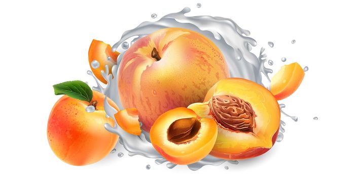 Fresh apricots and peaches and a yogurt or milk on a white background. Realistic style illustration.