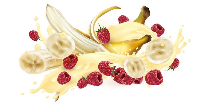 Bananas and raspberries in a splash of milkshake or yogurt on a white background. Realistic style illustration.