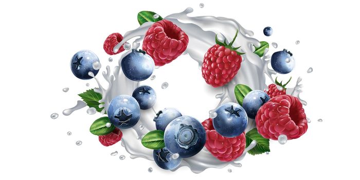 Fresh blueberries and raspberries and a yogurt or milk splash on a white background. Realistic style illustration.