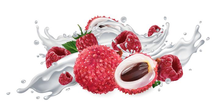 Fresh lychee and raspberries in a splash of milk or yogurt on a white background. Realistic style illustration.