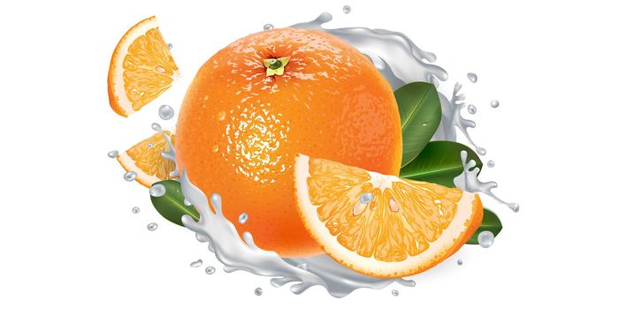 Fresh orange and a yogurt splash on a white background. Realistic style illustration.