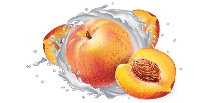 Fresh peaches and a yogurt or milk splash on a white background. Realistic style illustration.