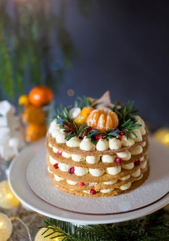 Christmas or New Year decorated cake with cream cheese frosting and cranberries