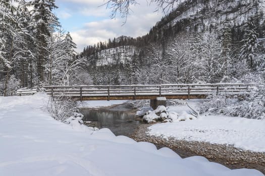 Winter landscape with footpath, snowy trees and blue sky