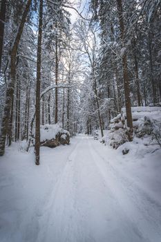 Winter landscape with footpath, snowy trees and blue sky