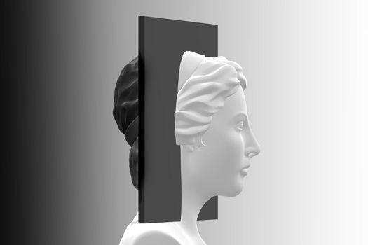 Bipolar split personality. Female with black divider. Concept of mental disease. 3D render