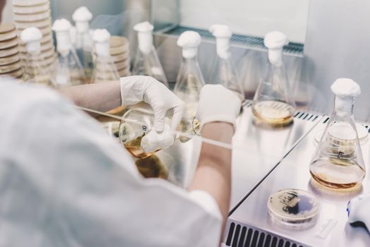 Female scientist working with laminar flow at corona virus vaccine development laboratory research facility. Corona virus pandemic concept. Development of virus treatment drug.