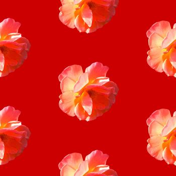 Seamless pattern with roses on a red background. Flat lay, top view. Pop art creative design for textile, fashion, wallpaper, fabric, wrapping paper.
