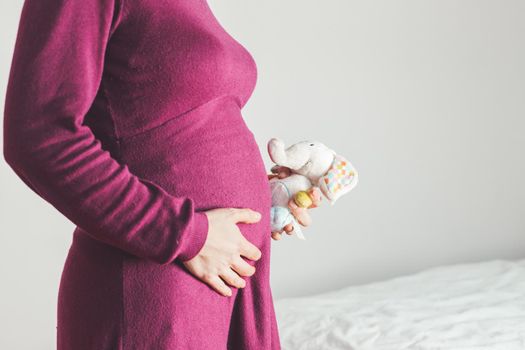 Close up of young mother holding a plush toy on her pregnant tummy, Caucasian, magenta dress