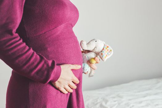 Close up of young mother holding a plush toy on her pregnant tummy, Caucasian, magenta dress
