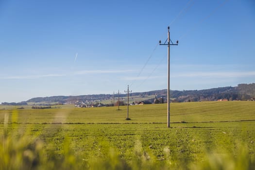 Green agriculture field under blue sky