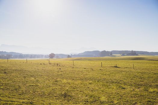 Green agriculture field under blue sky