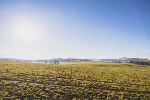 Green agriculture field under blue sky