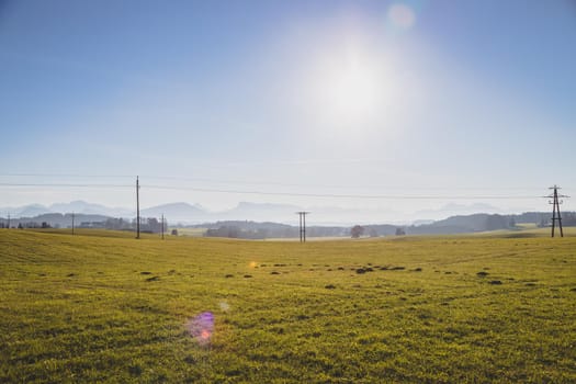 Green agriculture field under blue sky