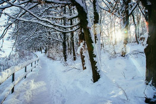 Walking promenade in Salzburg, snowy winter landscape