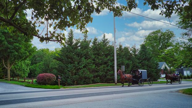 An Amish Horse and Buggy Traveling along a Countryside Road on a Beautiful Summer Day