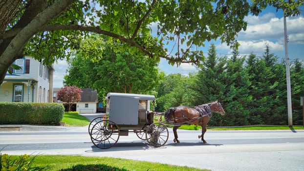 An Amish Horse and Buggy Traveling along a Countryside Road on a Beautiful Summer Day