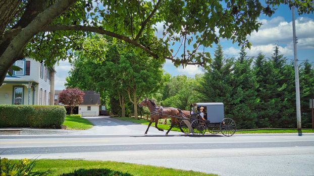 Gordonville, Pennsylvania, June 2020 -An Amish Horse and Buggy Full with Amish People Traveling along a Countryside Road on a Summer Day