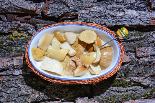finger food and original appetizer of Italian fine cuisine mushrooms in oil