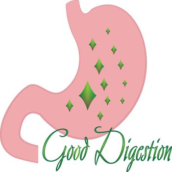 Good digestion stomach vector illustration on a white background isolated