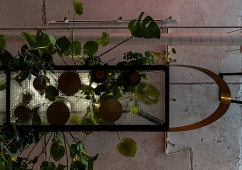 Upward view to small transparent platform with plants and flowers on it